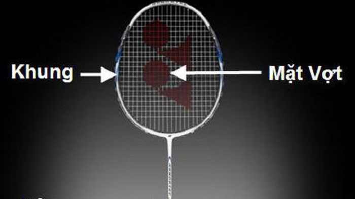 Hướng dẫn cách chọn vợt cầu lông dành cho người chơi mới