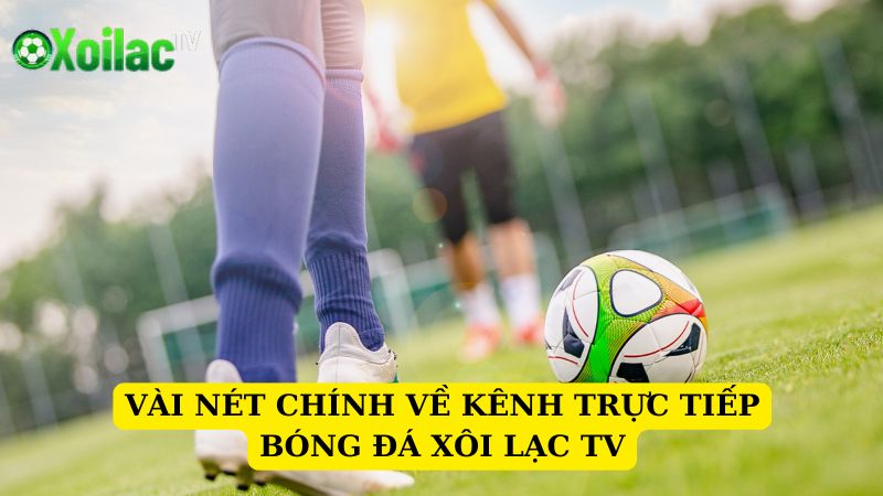 Xôi Lạc TV xem bóng đá trực tiếp miễn phí, không lo bị chặn