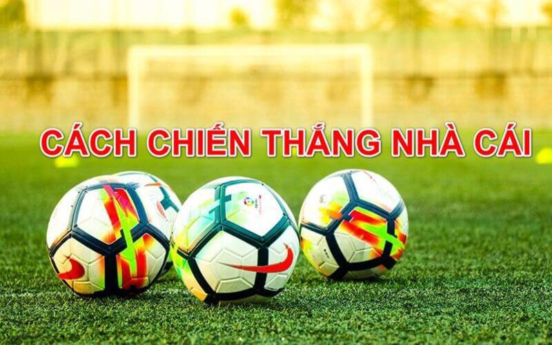 Hướng dẫn cách chiến thắng nhà cái M88 khi tham gia cá cược 
